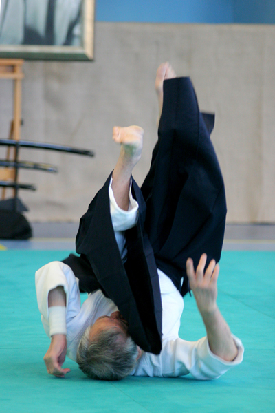 stage aikido bdarieux