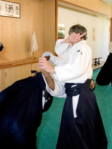 aikido