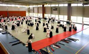 stage d'aikido en suisse à Lausanne