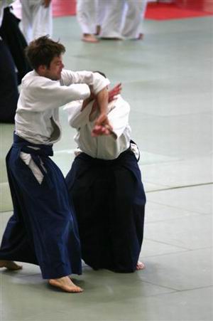 stage d'aikido en suisse à Lausanne