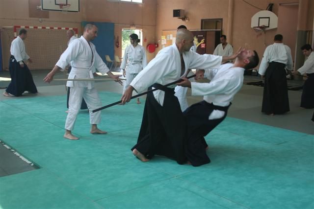 commission technique aikido