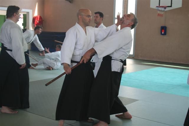 commission technique aikido