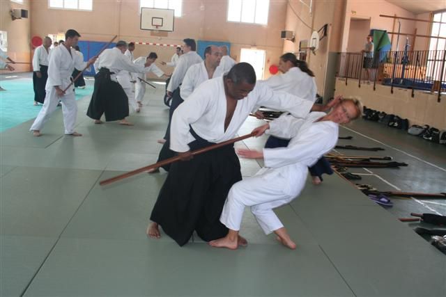 commission technique aikido