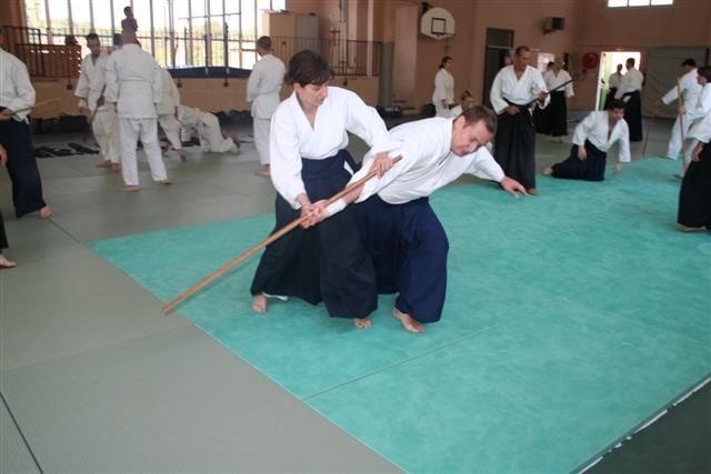 commission technique aikido