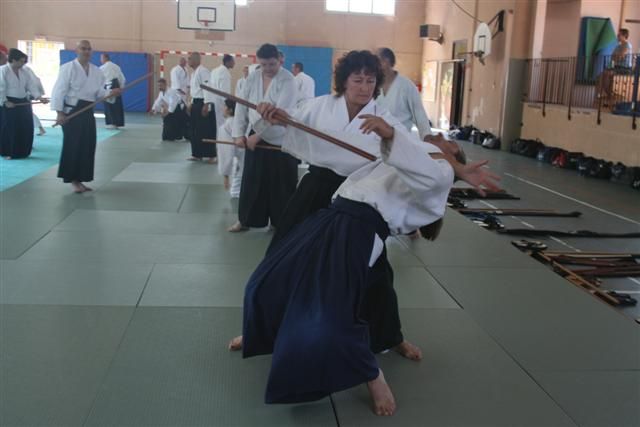 commission technique aikido