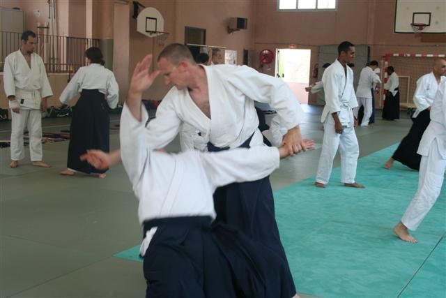 commission technique aikido