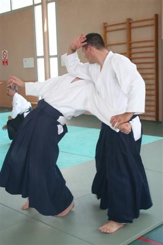 commission technique aikido