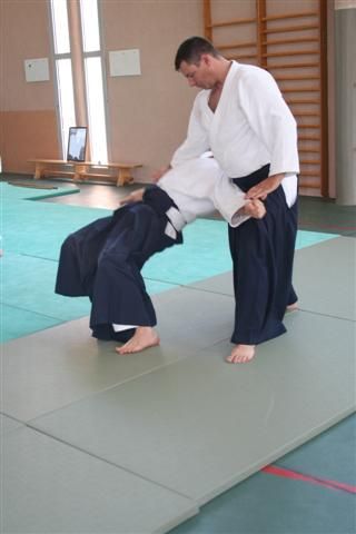 commission technique aikido