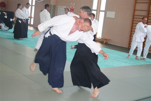 commission technique aikido