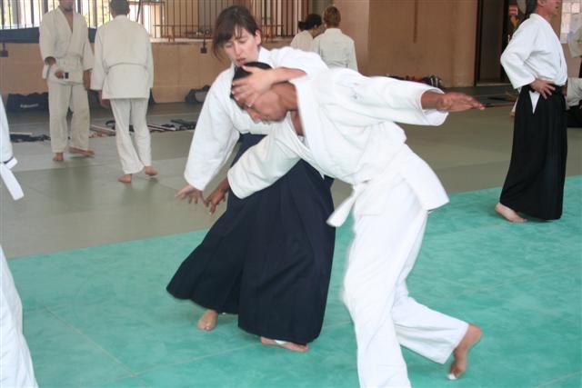 commission technique aikido