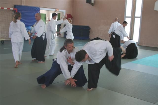 commission technique aikido