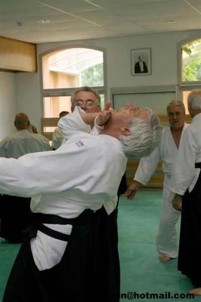 aikido ; les vétérans